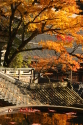 Image: IMG_8210.JPG