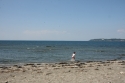 Image: tateyama.jpg
